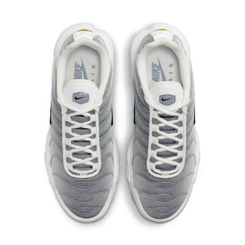 Nike Air Max Plus Smoke Grey Ashen Slate (FQ2892-100)