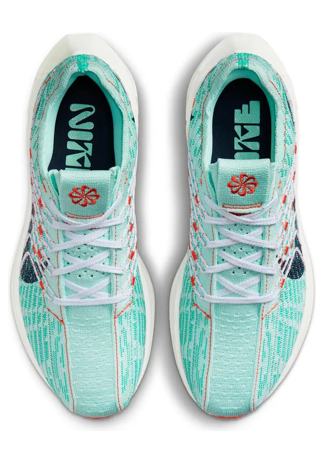 nike-air-pegasus DM3414-300