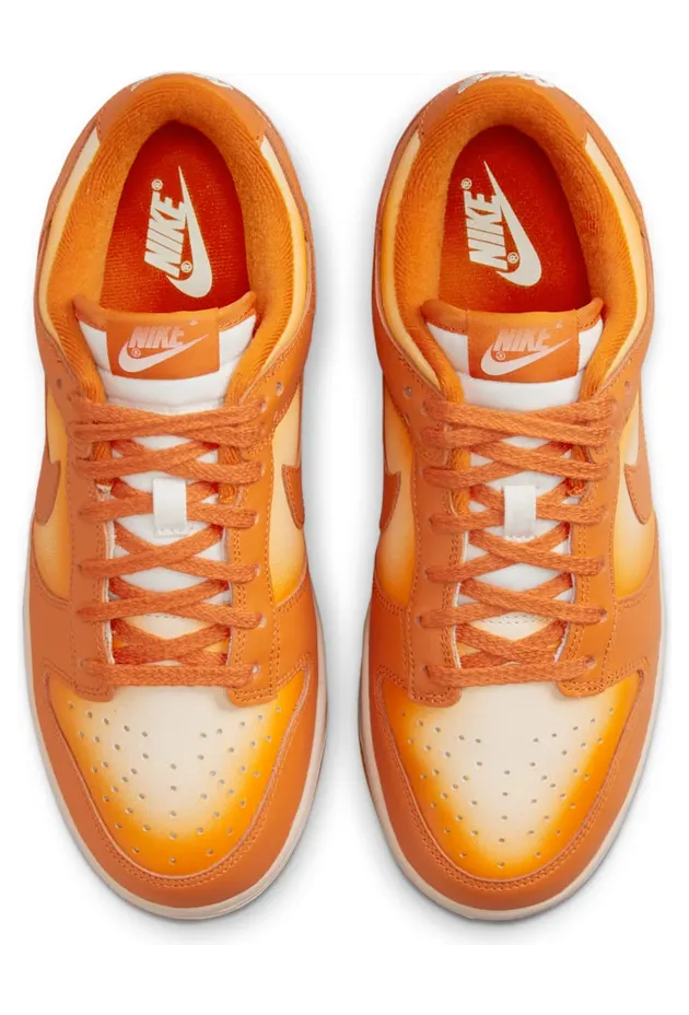nike-dunk DX2953-800