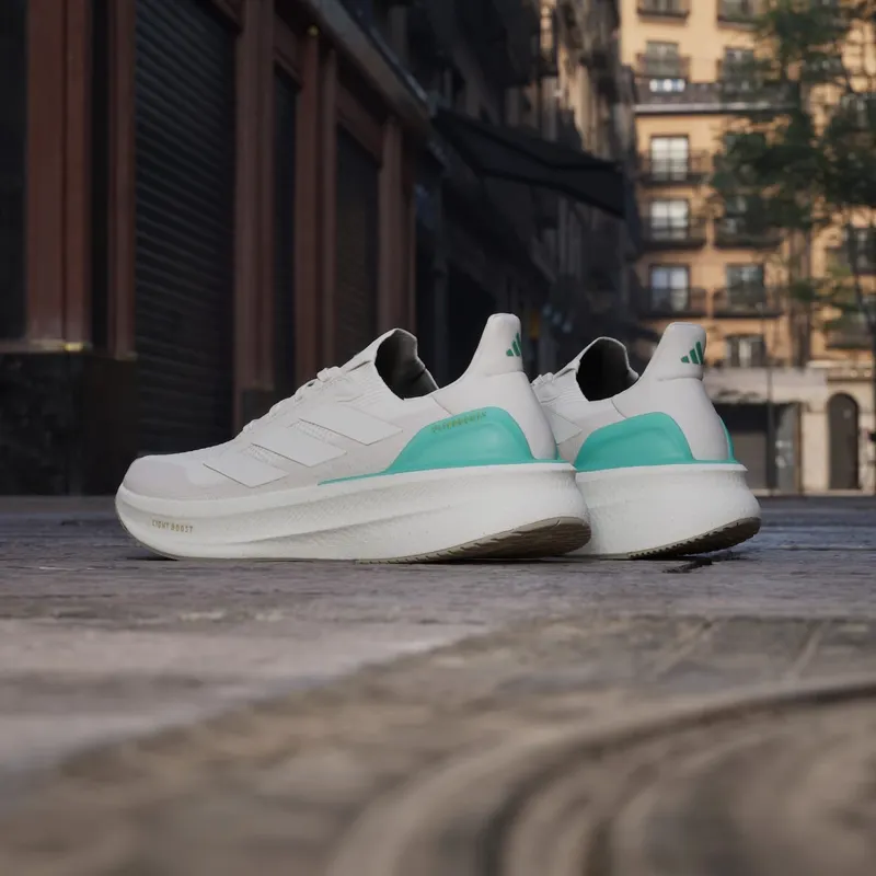 adidas Ultra Boost 5X Orbit Grey Court Green (JQ9079)