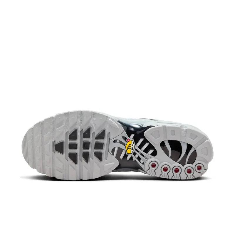 Nike Air Max Plus Wolf Grey Wolf Grey/Black-White (852630-021)
