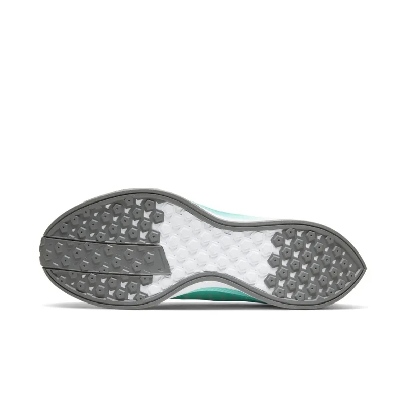 Nike Zoom Pegasus Turbo 2 Aurora (W) Aurora/Sky Grey/Particle Grey (AT8242-302)