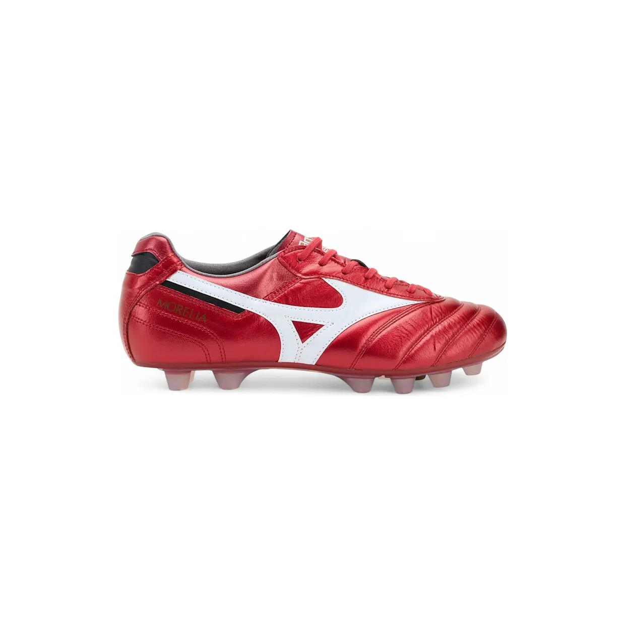 mizuno-morelia P1GA250160