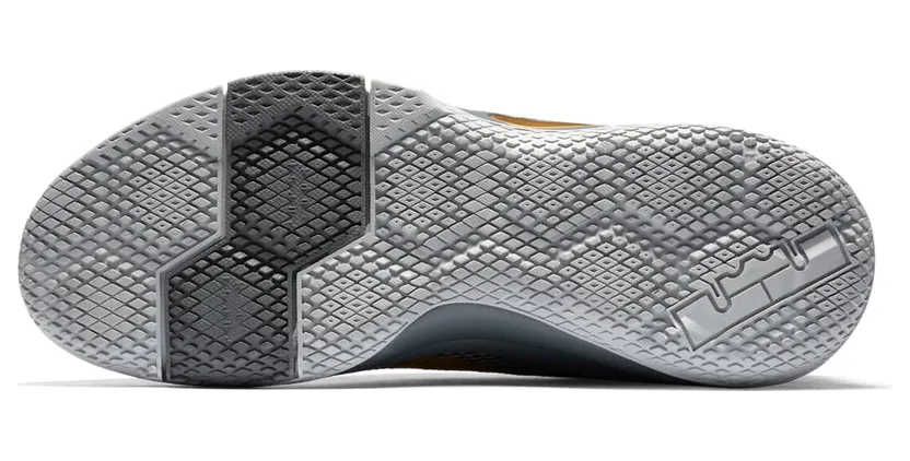 lebron-witness-2 942518-009