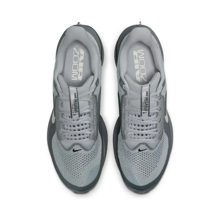 nike-air-pegasus HQ2592-013