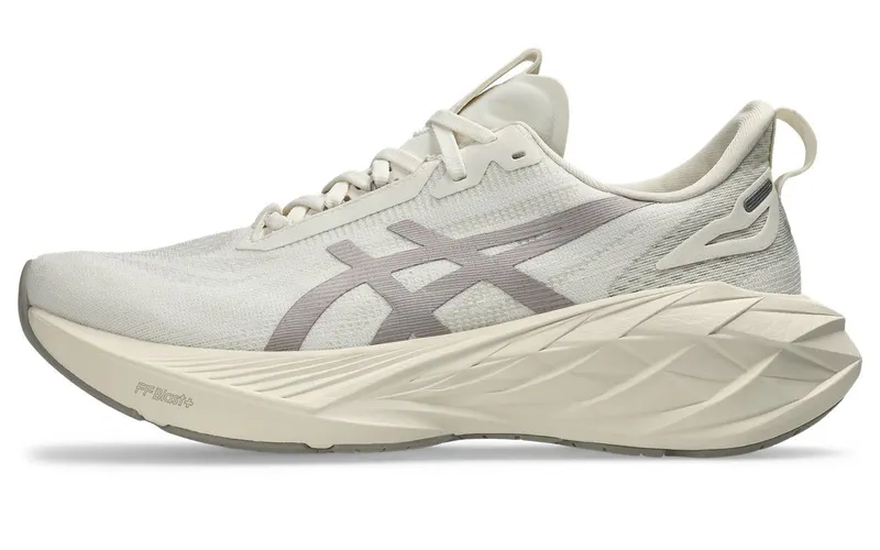 ASICS Novablast 4 Le Birch Moonrock (1011B887-200)