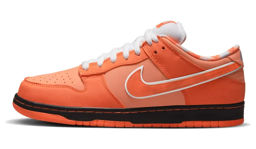nike-dunk-sb FD8776-800