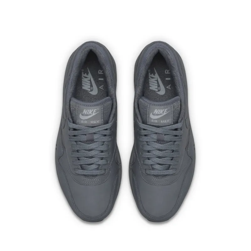 Nike Wmns Air Max 1 Pinnacle Cool Grey (839608-002)