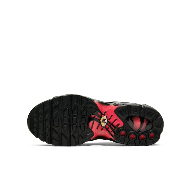 Nike Air Max Plus Black Crimson (DD3229-001)