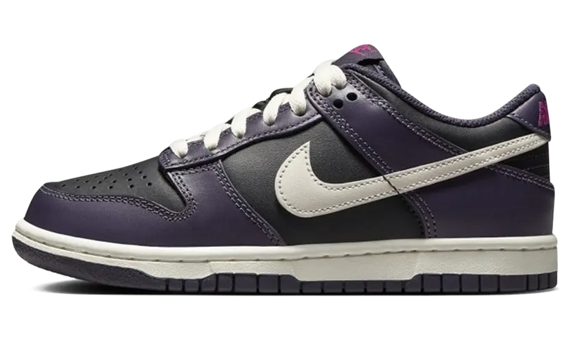Nike Dunk Low GS “Dark Raisin” (FB9109-003)