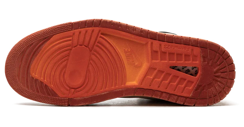 air-jordan-1 DV1307-100