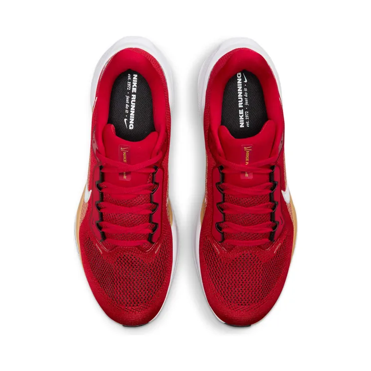nike-air-zoom IB3186-600