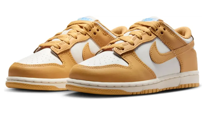 nike-dunk FB9108-700