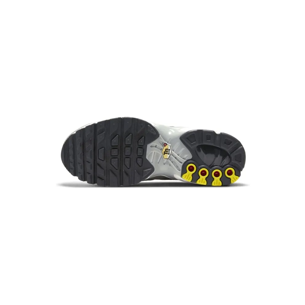 Nike Air Max Plus Dark Smoke Grey (GS) (CD0609-013)