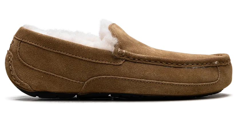 ugg-ascot 1101110-CHE