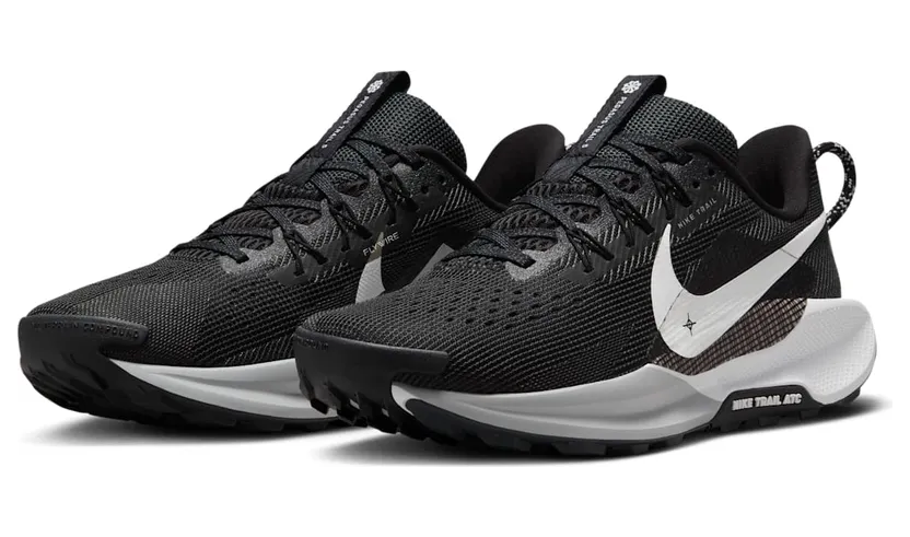 nike-air-pegasus DV3865-001