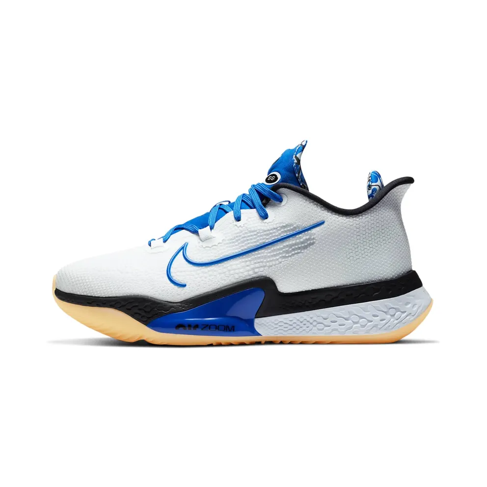 Nike Air Zoom BB NXT Sisterhood (DB9990-100)