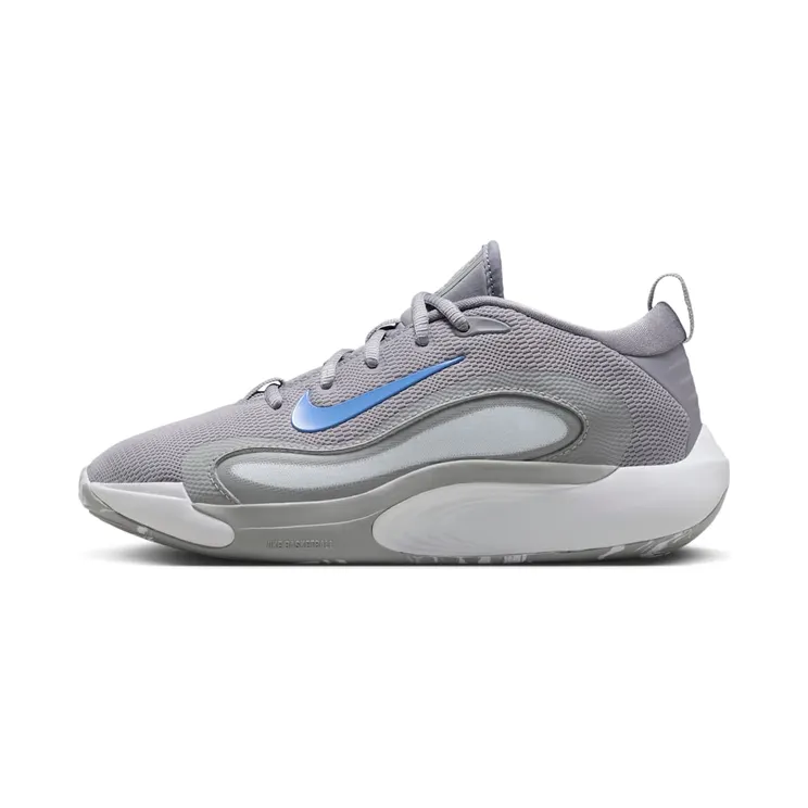 Nike IsoFly Cement Grey Light Smoke Grey Pure Platinum Royal Pulse (FN4384-002)