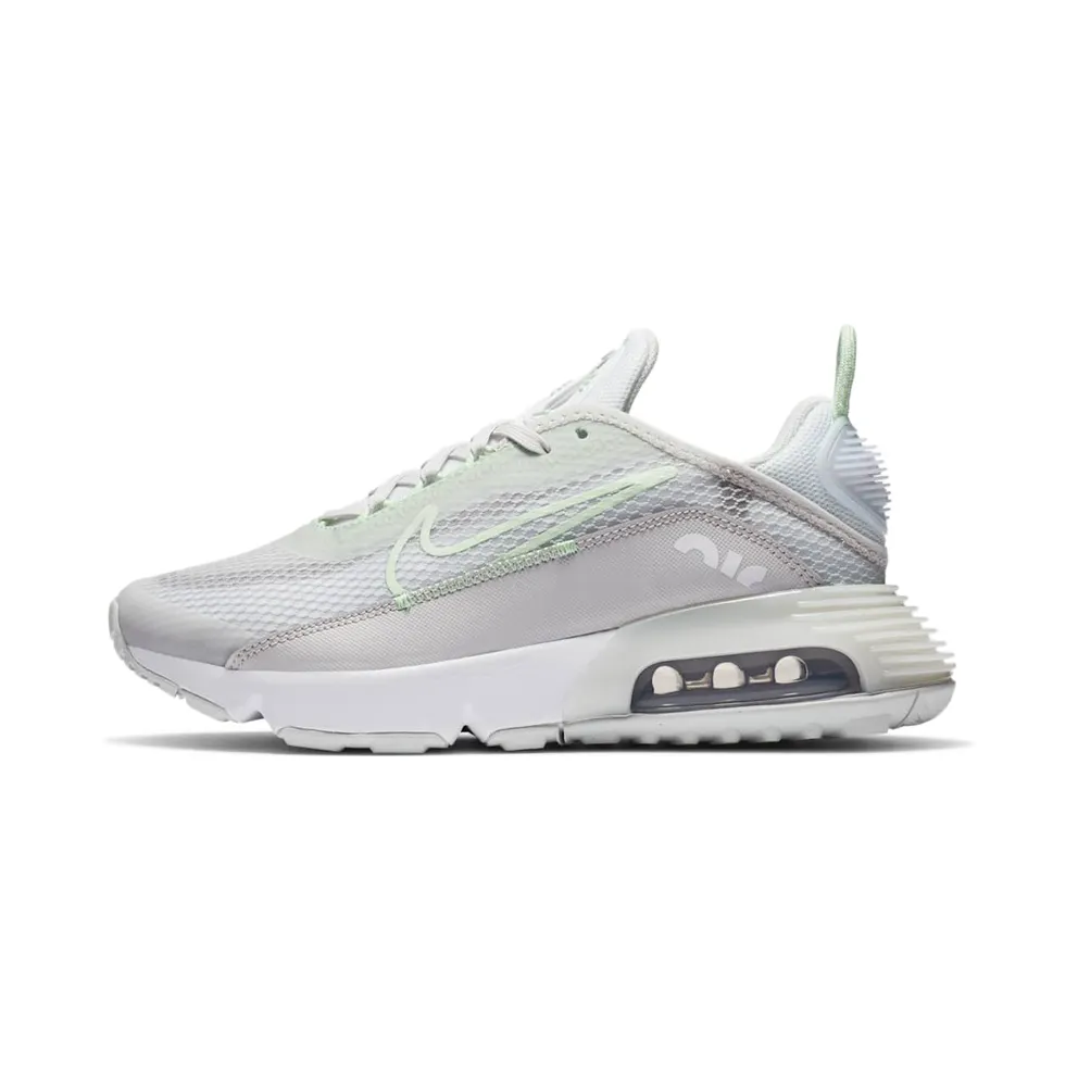Nike Air Max 2090 Grau (CJ4066-005)
