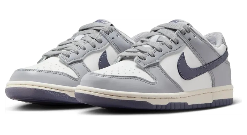 nike-dunk FB9109-101