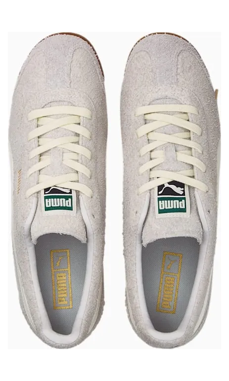 puma-arizona 384402-01