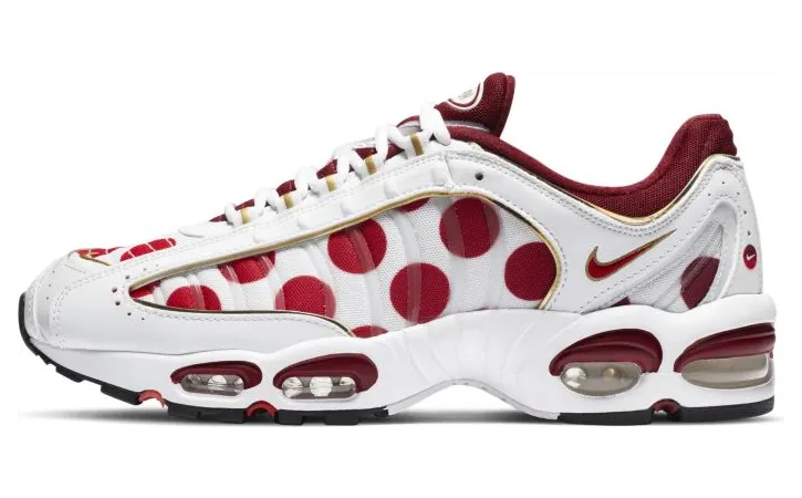 nike-air-max CW4810-167