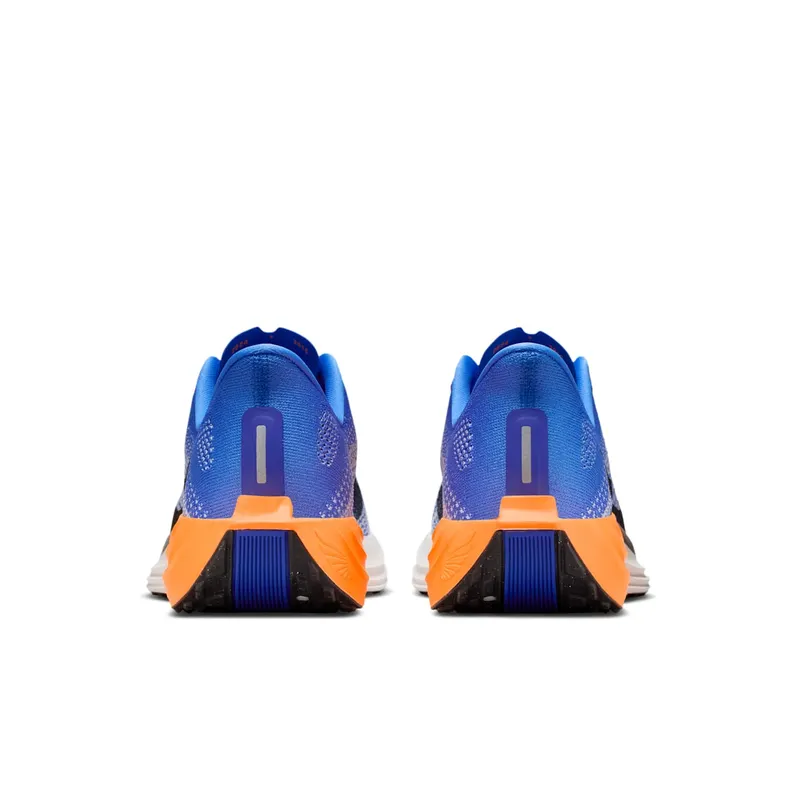 Nike Pegasus Crystal Blue/Hydrogen Blue/Lapis/Off Noir (FQ7262-403)
