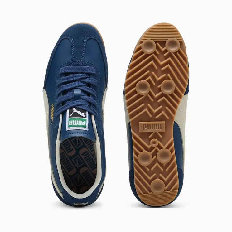 puma-arizona 40235308
