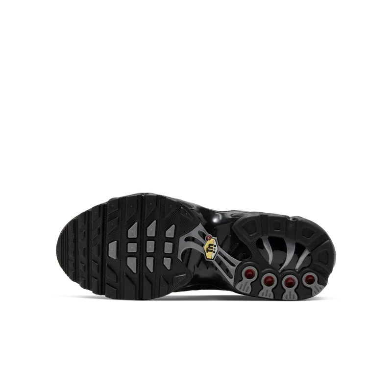 Nike Air Max Plus Older Kids’ Black (CZ4205-001)