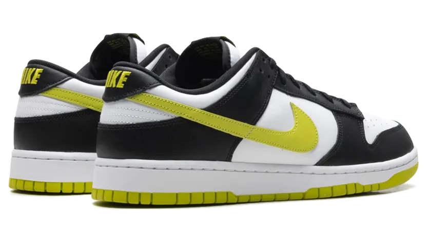 nike-dunk DV0833-110