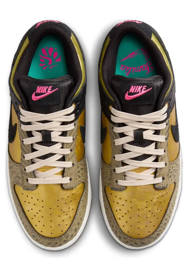 nike-dunk FQ8148-010