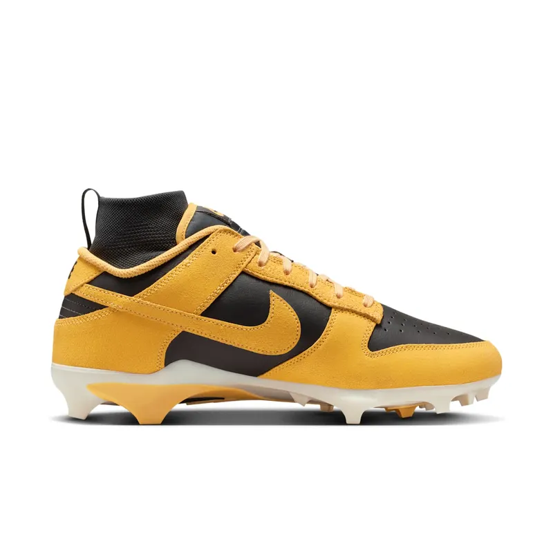 Nike Alpha Menace Dunk “Iowa” (HV6925-001)