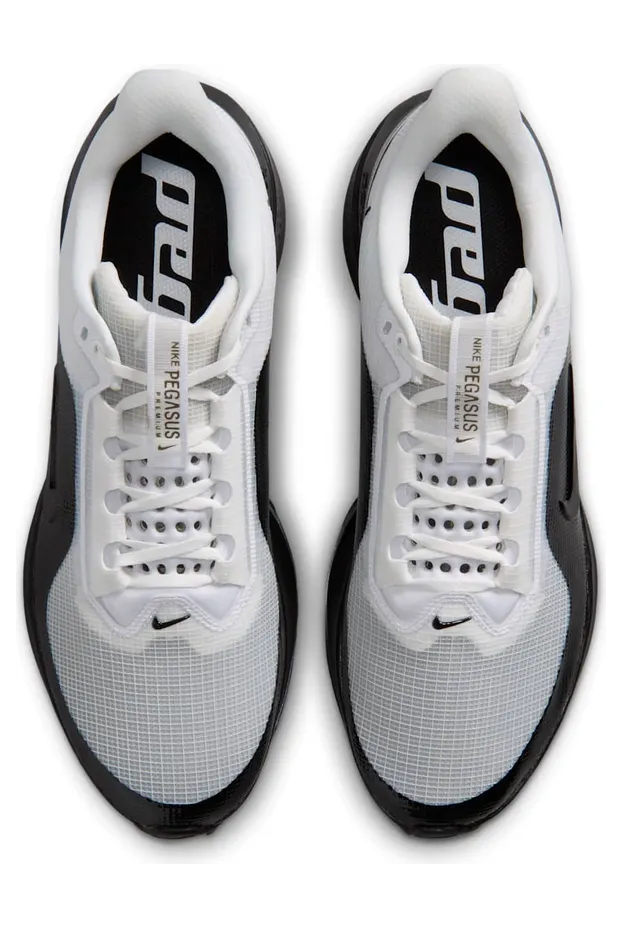 nike-air-pegasus IR2166-102