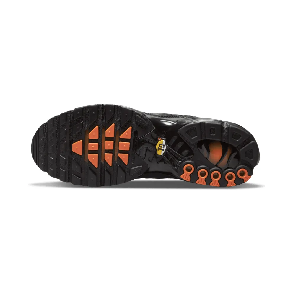 Nike Air Max Plus 3D Swoosh Black (DR0138-001)
