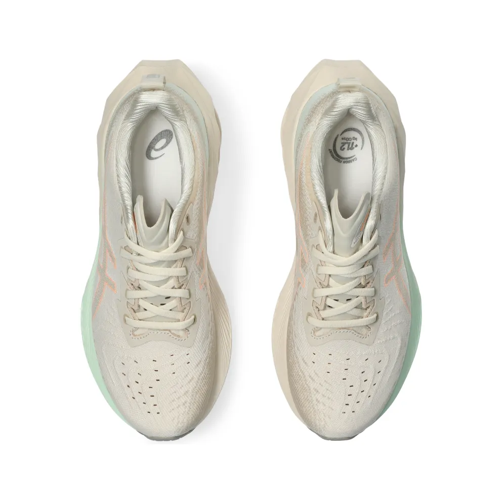 Asics Novablast 4 Oatmeal/Moonrock (1012B510.250)