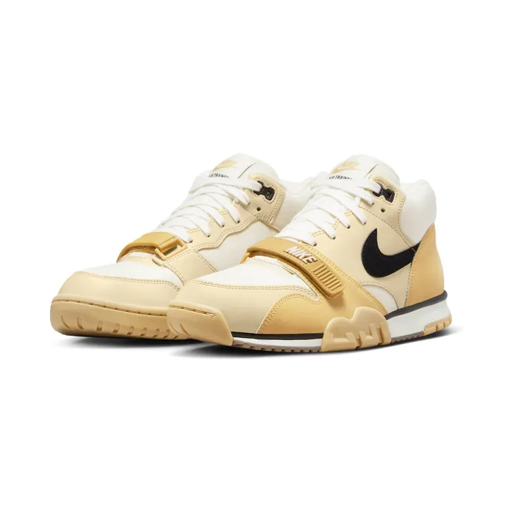 air-jordan-trainer-1 DV7201-100