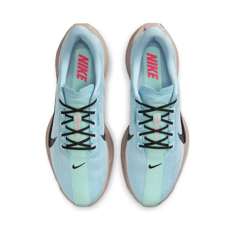 nike-air-pegasus FQ7262-406