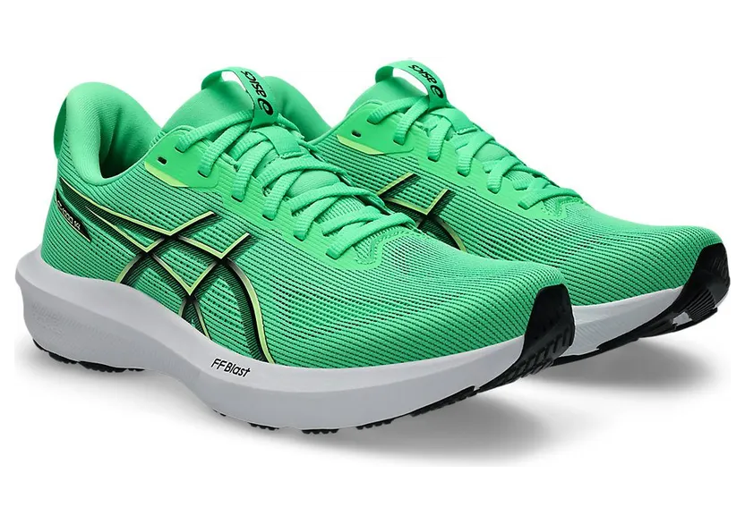 asics-gt-1000 1011C077-300