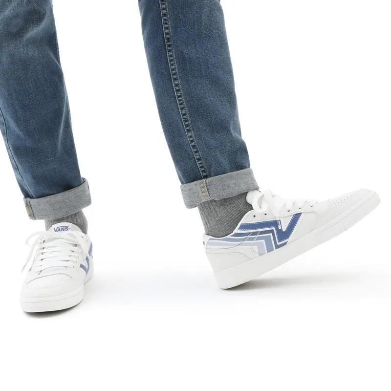 VANS Vans X Penn Lowland Cc Shoes White (VN0A4TZY4H5)