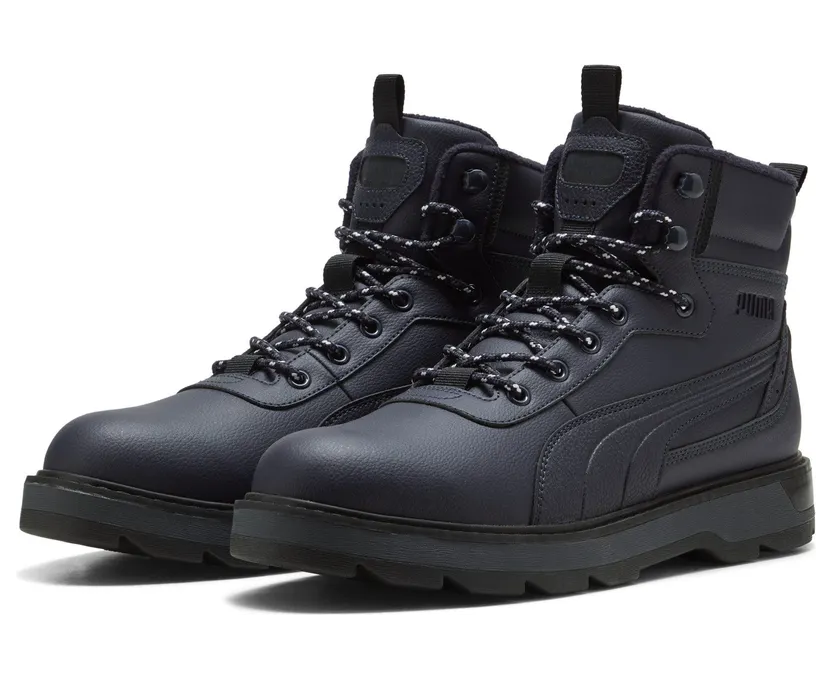 puma-desierto 392626_05