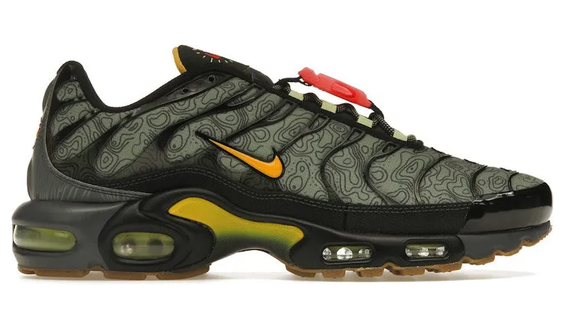 Nike Air Max Plus Fresh Perspective (DC7392-300)