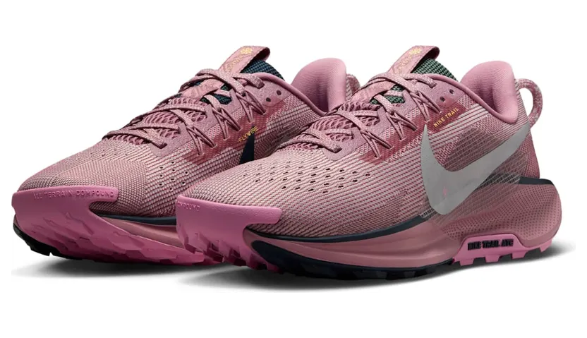 nike-air-pegasus DV3865-500