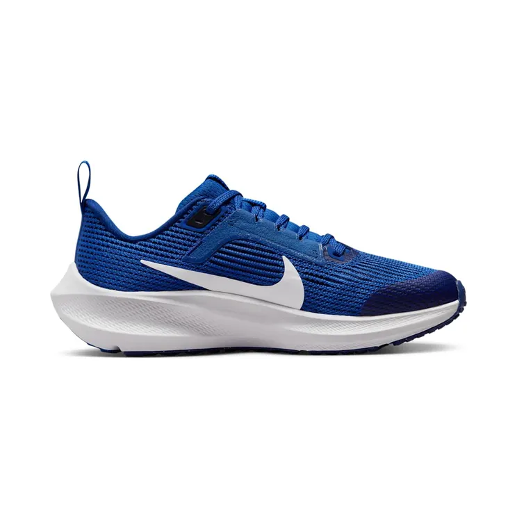 nike-air-zoom DX2498-400