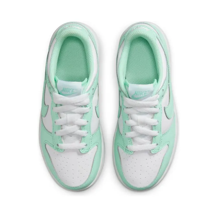 nike-dunk FZ3536-100
