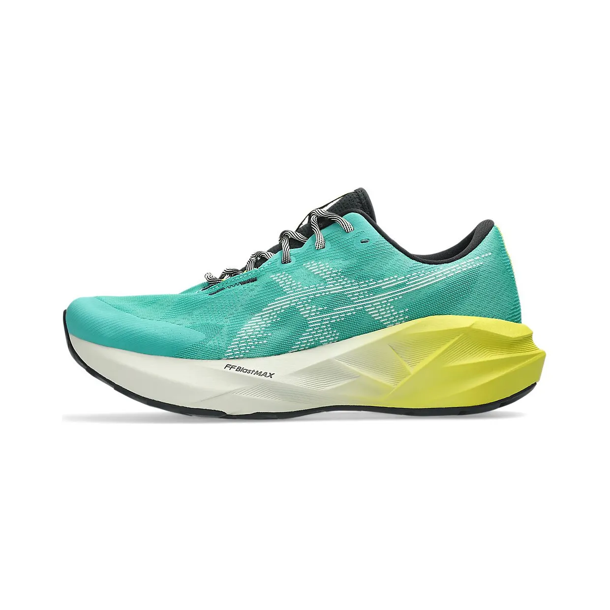 asics-novablast 1011C217-300