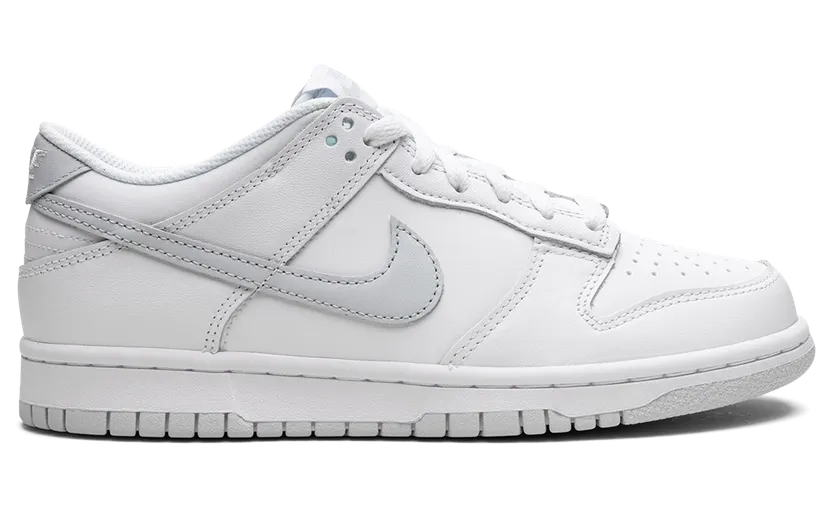 nike-dunk DH9765-102