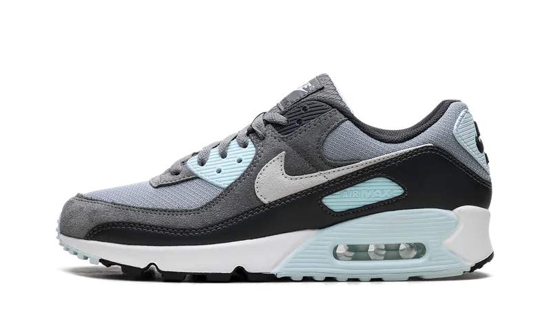 Nike Air Max 90 “Pumice” (DM0029-009)