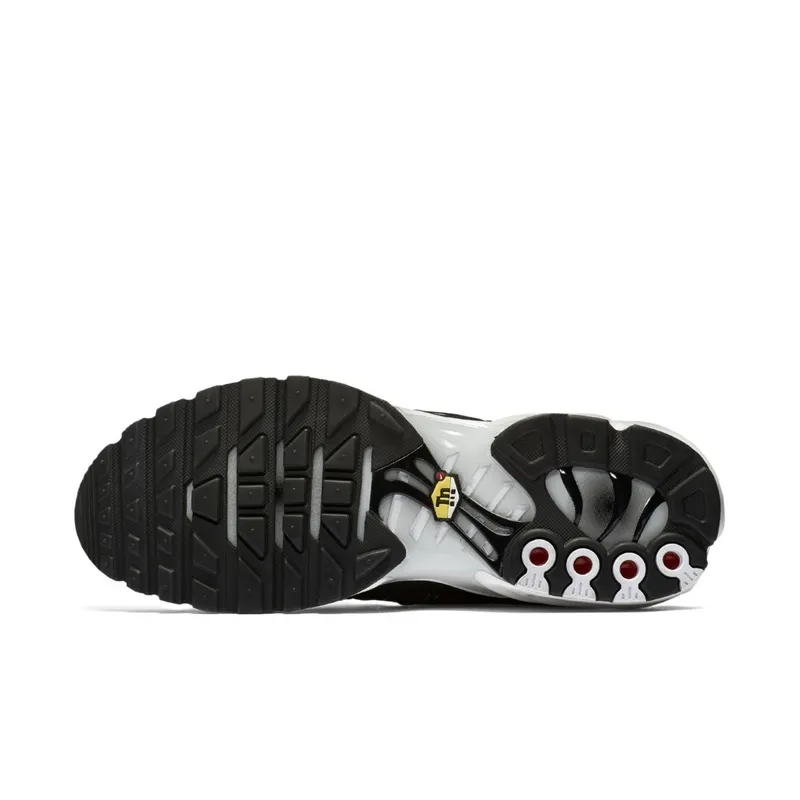 Nike Air Max Plus Striped Black White Black/White-Pure Platinum (AT0040-001)