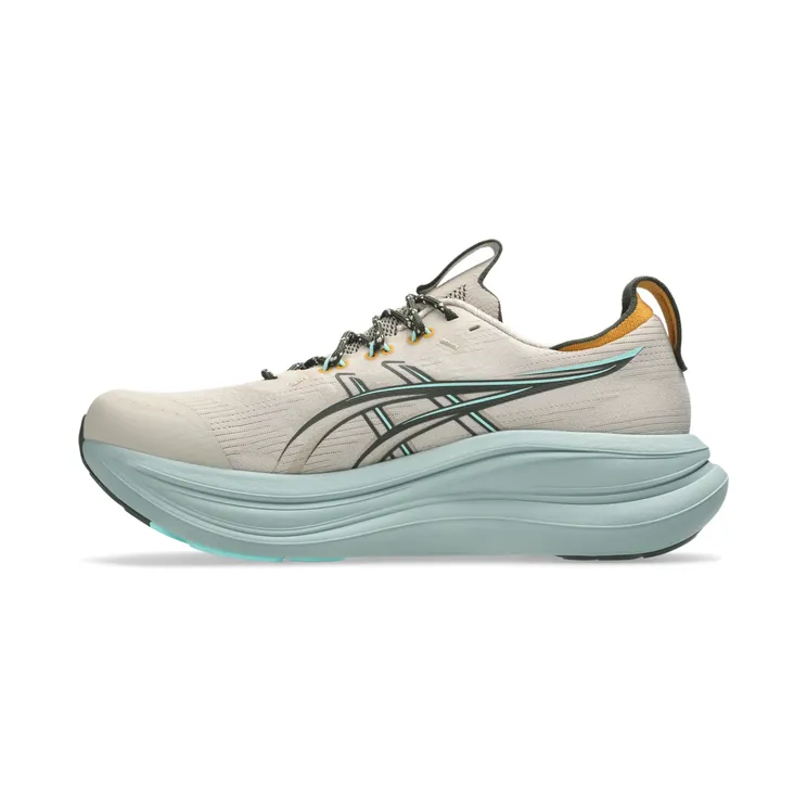 asics-gel-nimbus 1011C309-250