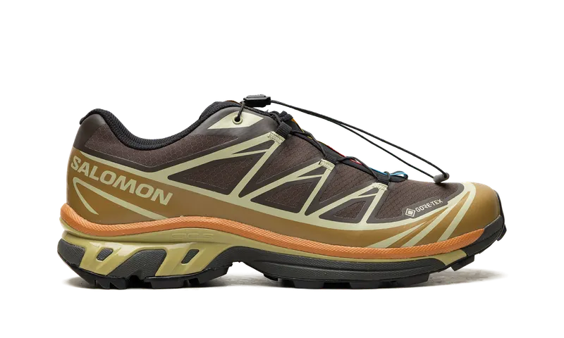Salomon XT-6 Gore-Tex “Delicioso Tea” (L49202-100)